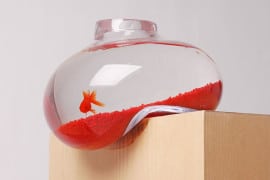 Bubble Tank, la boccia surrealista boccia-pesci-rossi-molle