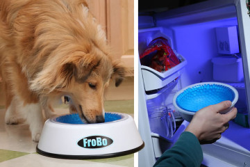 Frobo, ciotola refrigerata per cani