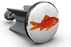 Un pesce rosso nel lavandino tappo-lavandino-con-pesce-rosso