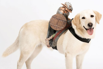 Le selle per cani