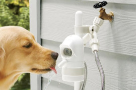 La fontanella automatica per i cani waterdog-fontanella-automatica-per-cani