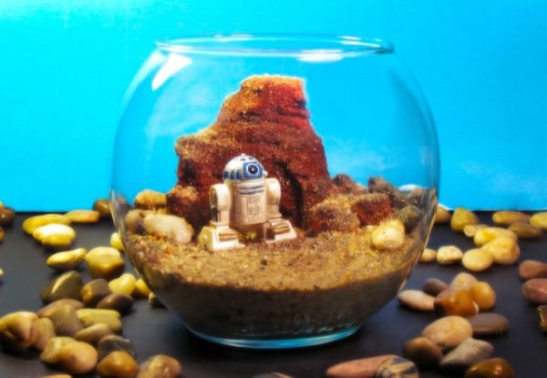 star-wars-terrarium-r2-d2