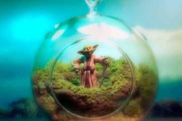 Star Wars Terrarium