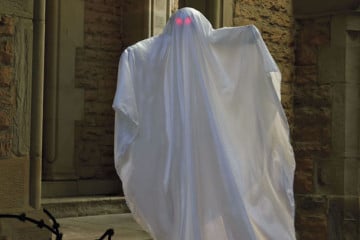 Il fantasma fluttuante