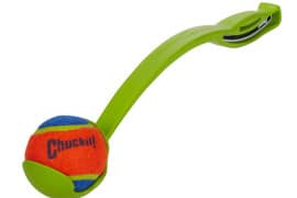 Lancia palline per cani lancia-palline-per-cani