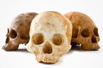 I teschi di cioccolato