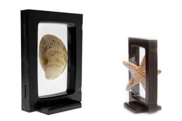Z-Access 3D Display Frame