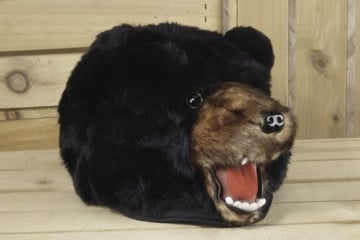 Bear Heat