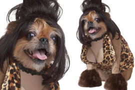 Lady Dog Tramp costume-tramp