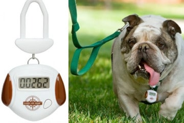 Pet Pedometer