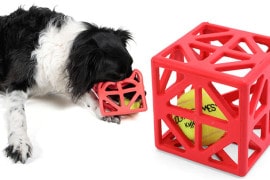 Cagey Cube Ball cagey-cube-ball