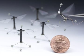 robo-fly – il micro-robot volante