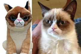 Il peluche del Grumpy Cat peluche-gumpy-cat