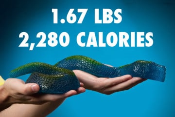 Il serpente più buono del mondo