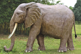 L’elefante africano da giardino statua-elefante-da-giardino