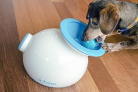 iFetch, lo sparapalle per cani ifetch
