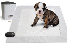 Puppy Potty Trainer puppy-potty-trainer