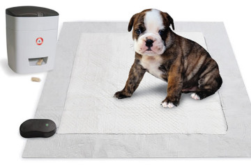 Puppy Potty Trainer