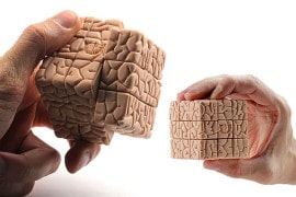 Brain Cube diventa realtà brain-cube