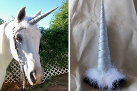 Il corno da… Unicorno corno-da-unicorno
