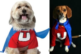 Il costume Underdog per cani costume-underdog-per-cani