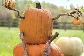 Kit per zucche antropomorfe zucca-antropomorfa