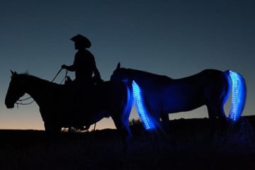 Tail Lights, i LED per le code di cavallo