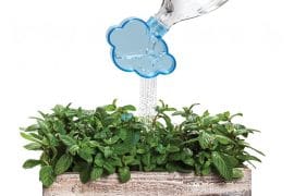 Rainmaker, da bottiglia annaffiatoio rain-maker