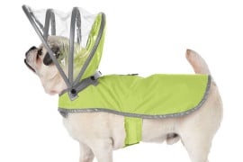RainCoat, l’antipioggia per cani antipioggia-per-cani