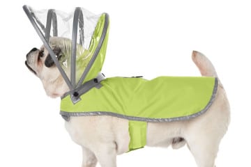 RainCoat, l’antipioggia per cani