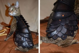Cat Battle Armor armatura-per-gatti