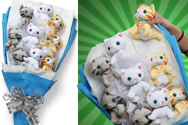 Il bouquet di gattini di peluche bouquet-di-peluche