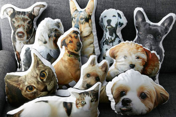 I cuscini dei nostri animali