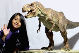 Una statua di un T-Rex in scala 1:8 t-rex-scala-1a8