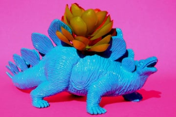 I vasi dinosauro