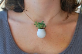 La collana ecologista collana-ecologista