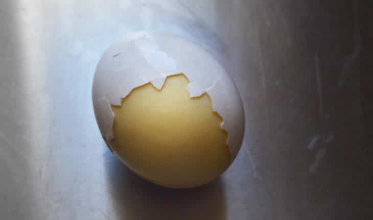 goose-golden-egg