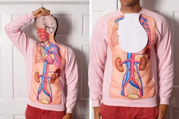 La felpa anatomica