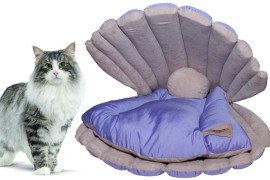 La conchiglia per cani e gatti lettino-conchiglia-per-gatti
