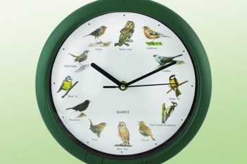 L’orologio per birdwatcher