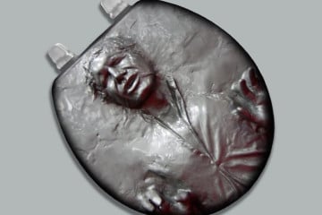 Il copriwater in carbonite