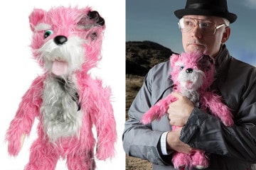 L’orsacchiotto rosa di Breaking Bad