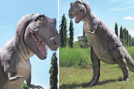 Il Tirannosauro da giardino statua-gigante-t-rex