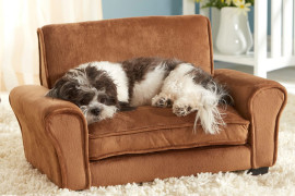 Il divanetto per animali domestici poltrona-per-cani