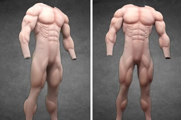 I costumi da body builder