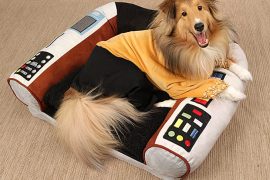 Il cuscino per cani di Star Trek lettino-per-cani-star-trek