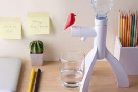Bird Water Dispenser dispenser-acqua-uccellino