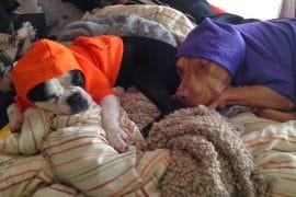 La felpa con cappuccio per animali domestici felpa-per-cani