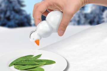 Il pupazzo di sale