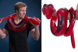 La caramella-serpente gigante caramella-rerpente-gigante